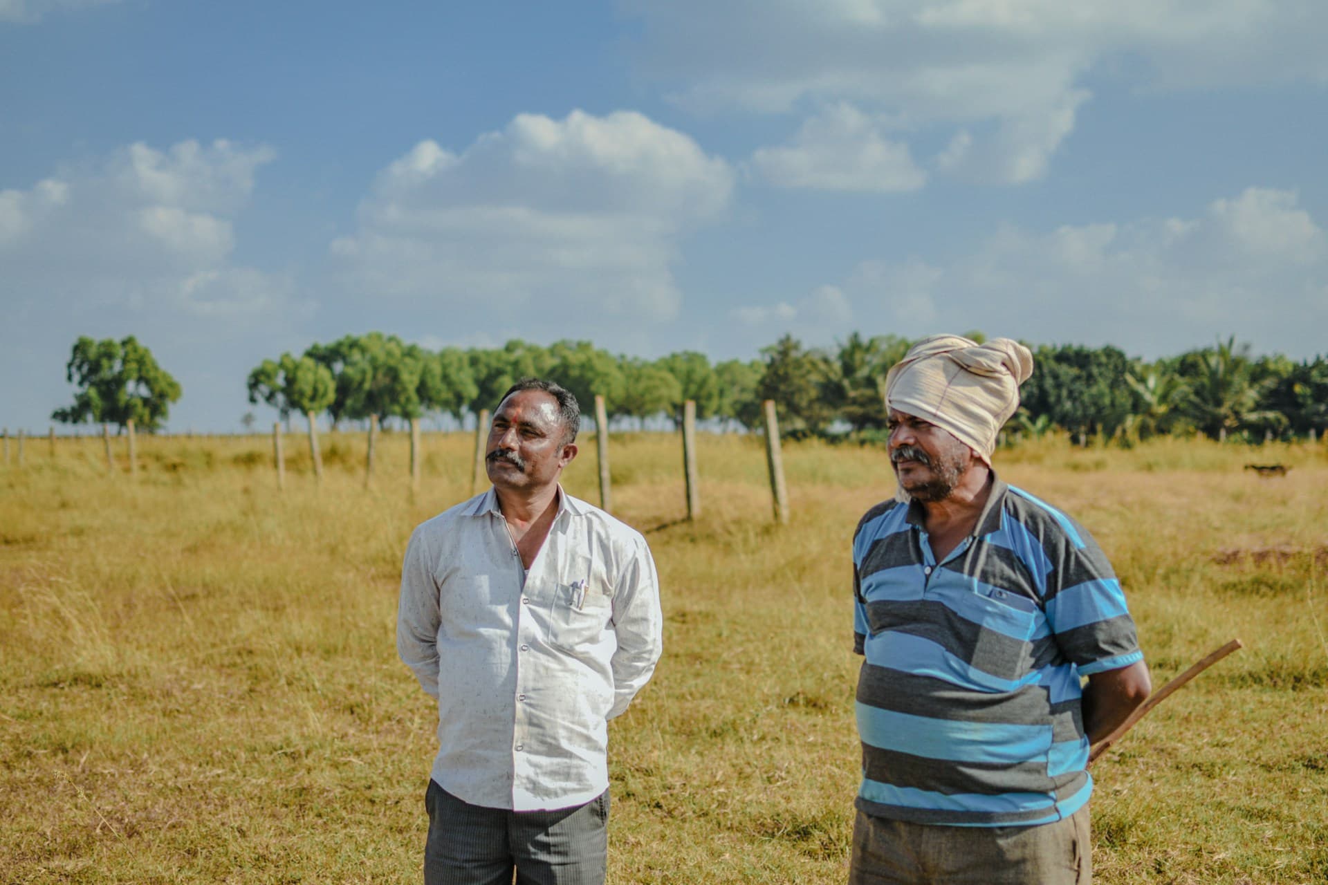 Local sourcing specialist working with growers at origin